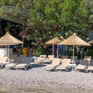 **** Apart Otel Alesta Midtown Türkiye